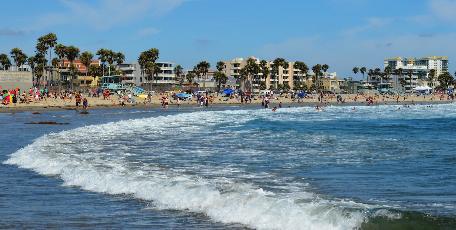 Venice Beach, Los Ángeles, con palmeras junto al Pacífico