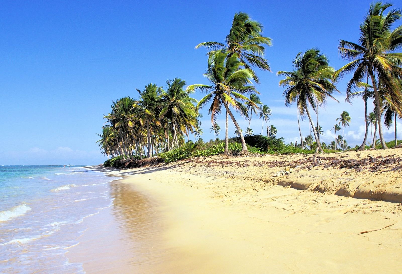 Palm-lined Bávaro beach near Punta Cana